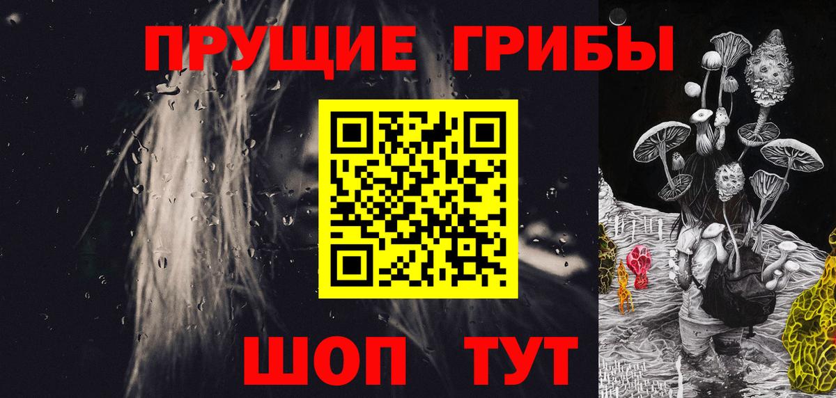 Псилоцибиновые грибы прущие грибы  купить  цена  Вход с VPN  Печора  Псилоцибиновые грибы Magic Shrooms 